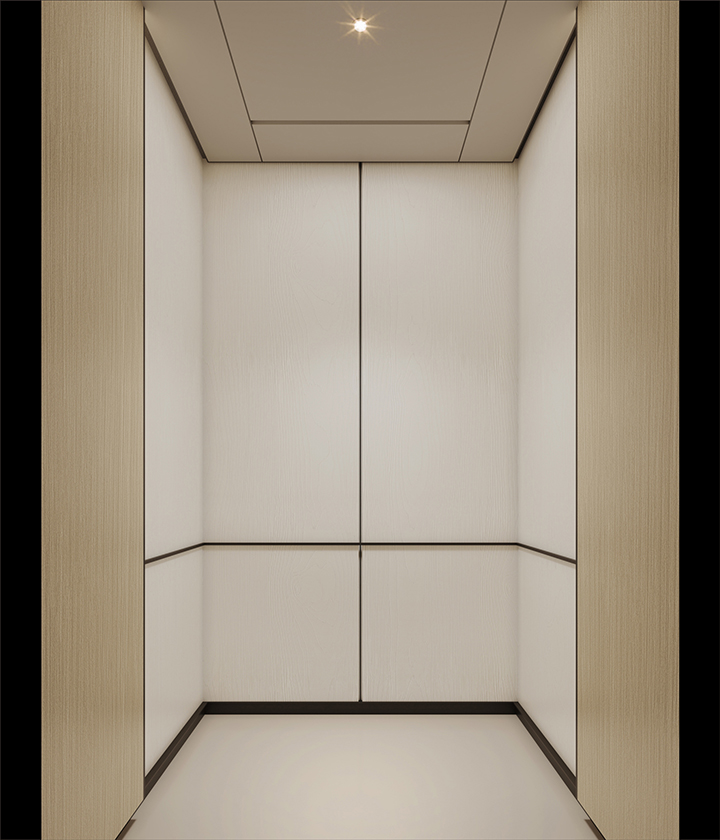 Elevador de villa de elevación vertical personalizado XSL