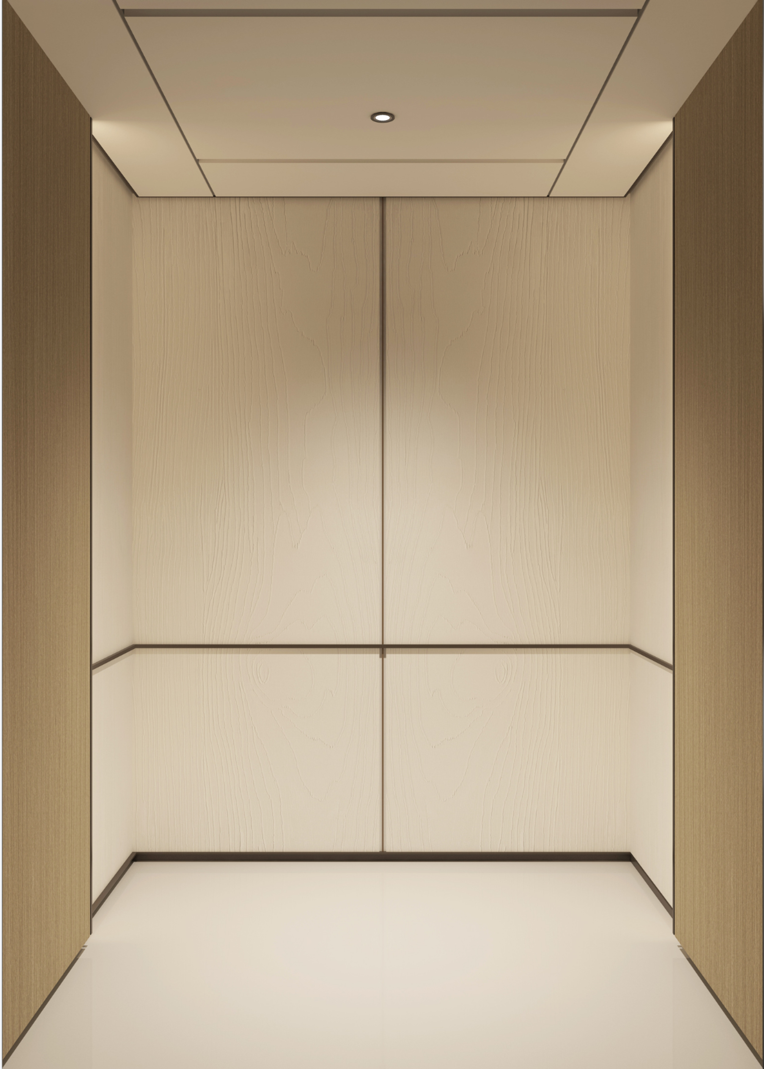 Elevador de villa de elevación vertical personalizado XSL