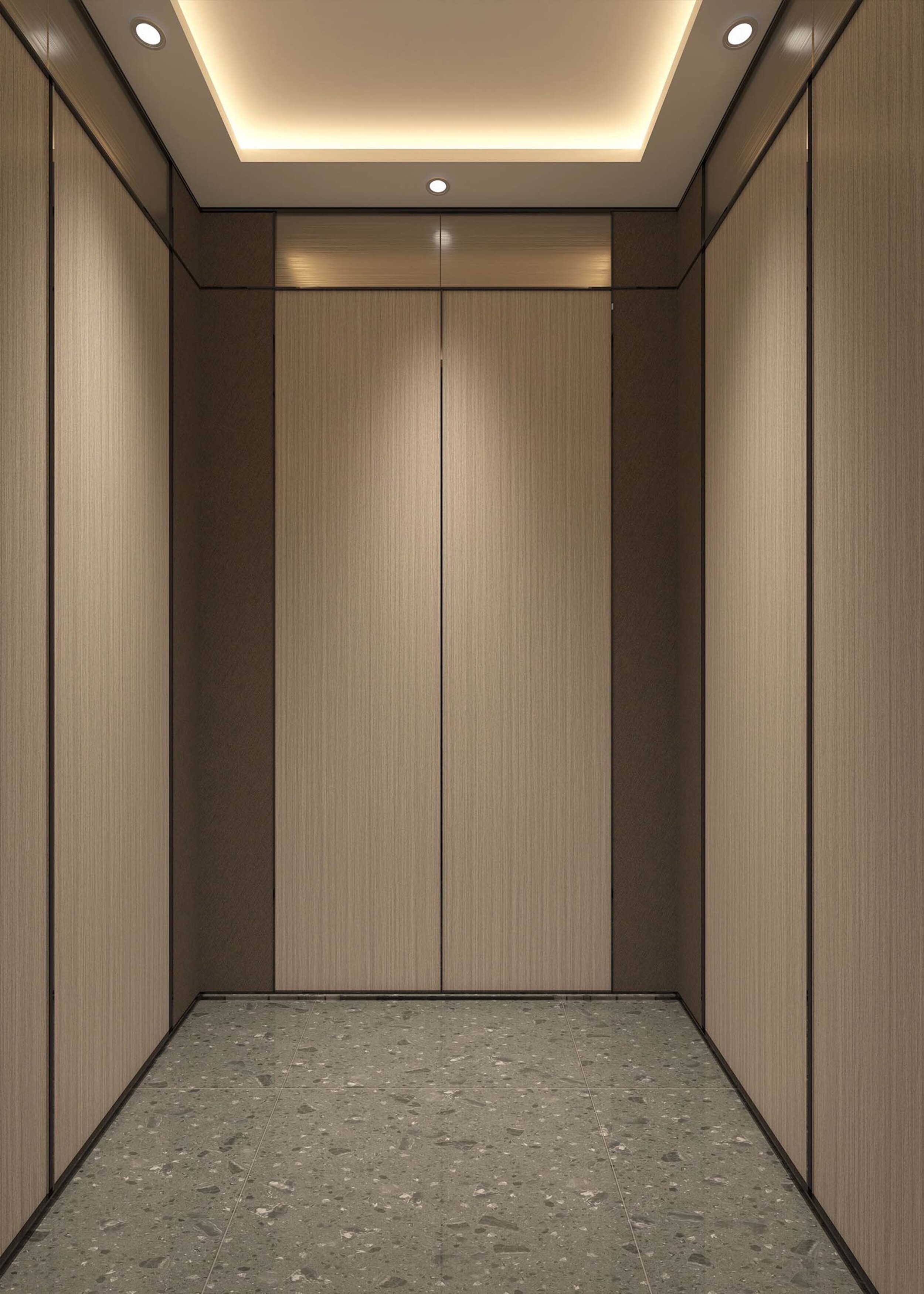 Elevador de villa residencial inteligente de lujo personalizado XSL