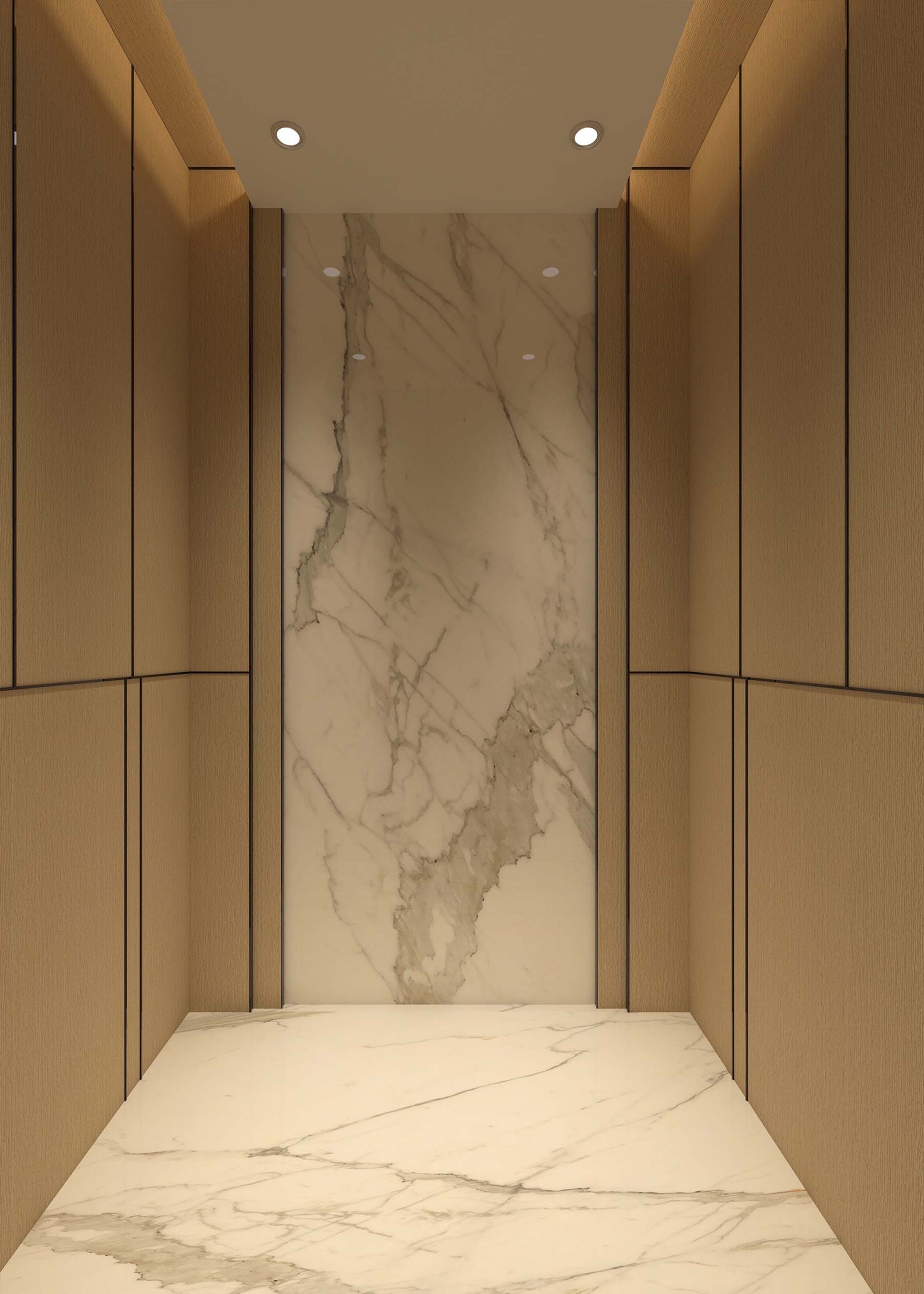 Ascensor para el hogar con decoración de mármol de estilo chino nuevo XSL